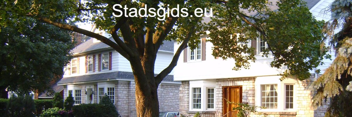 stadsgids.nitrosmm.xyz